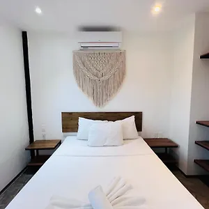 Coco Live Playa del Carmen